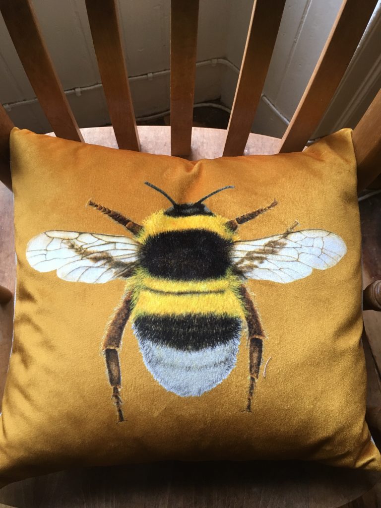 Velvet Chenille Bee Cushion Love Tuppence